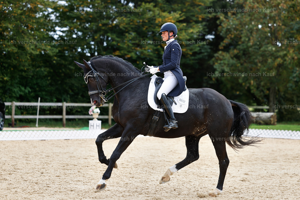 11-042-Dressur S___-StoibPH-1190 | working equitationturnier fotograf videograf stoibphotography marixx film working equitation deutschland reitsport turnierfotografie eventfotografie equestrian events