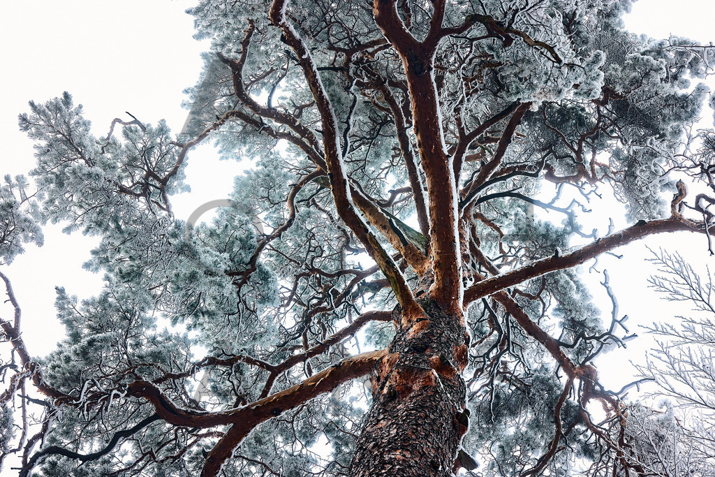 Ein Hans Fineart Original | Entdecke die Kunst von Hans Fineart - Fotografien für dein Zuhause. Verwandle deine Wände mit einzigartigen Kunstwerken und bringe die Schönheit der Welt in dein Leben. Bestelle jetzt und schaffe einen Ort der Inspiration und Eleganz.