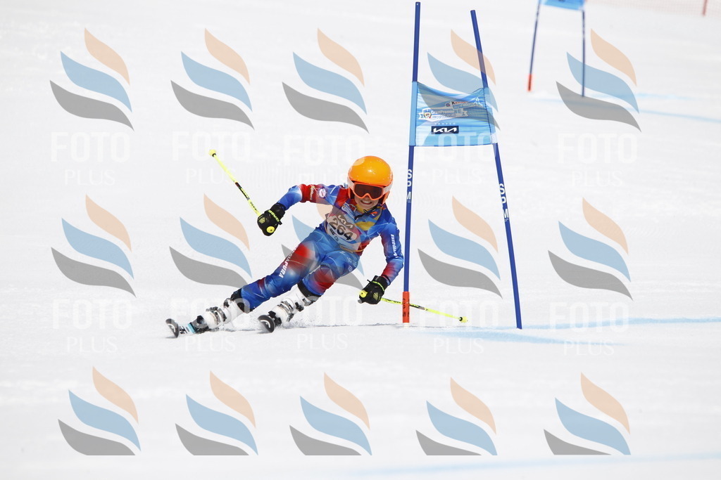 _U3G6605 | holidayphoto