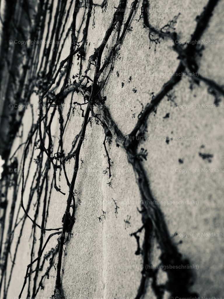 IMG_2861 | OLYMPUS DIGITAL CAMERA          - Realisiert mit Pictrs.com