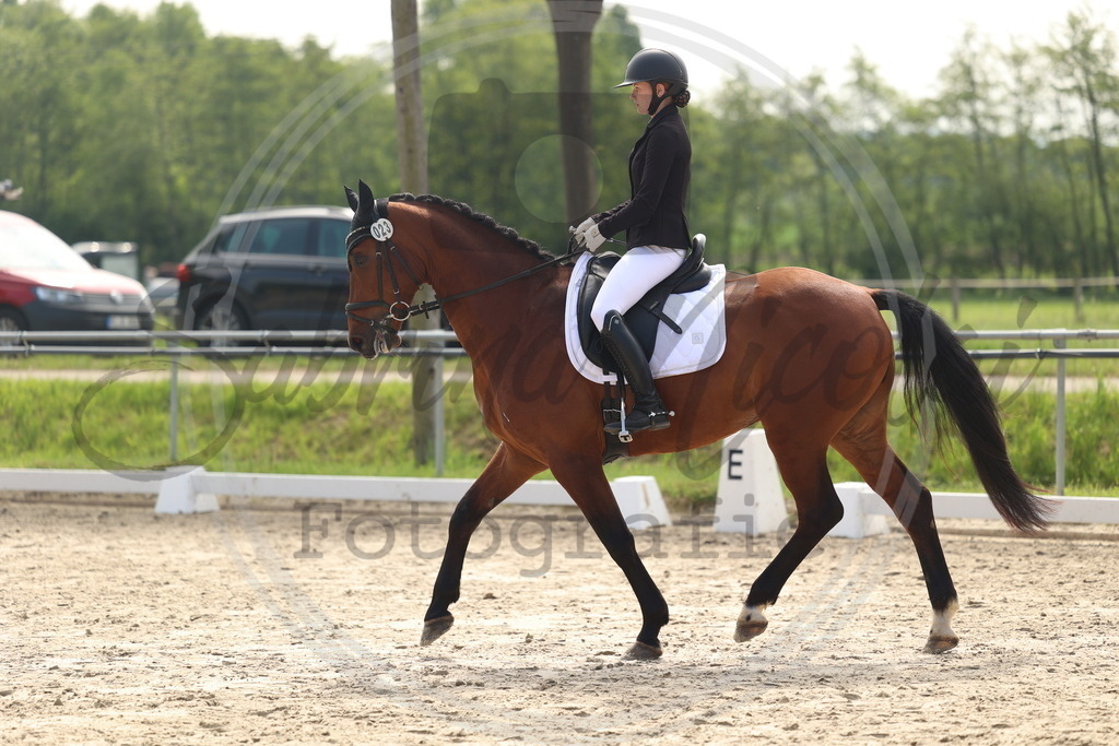 994A6467 | sabrinanicolaifotografie - Realisiert mit Pictrs.com