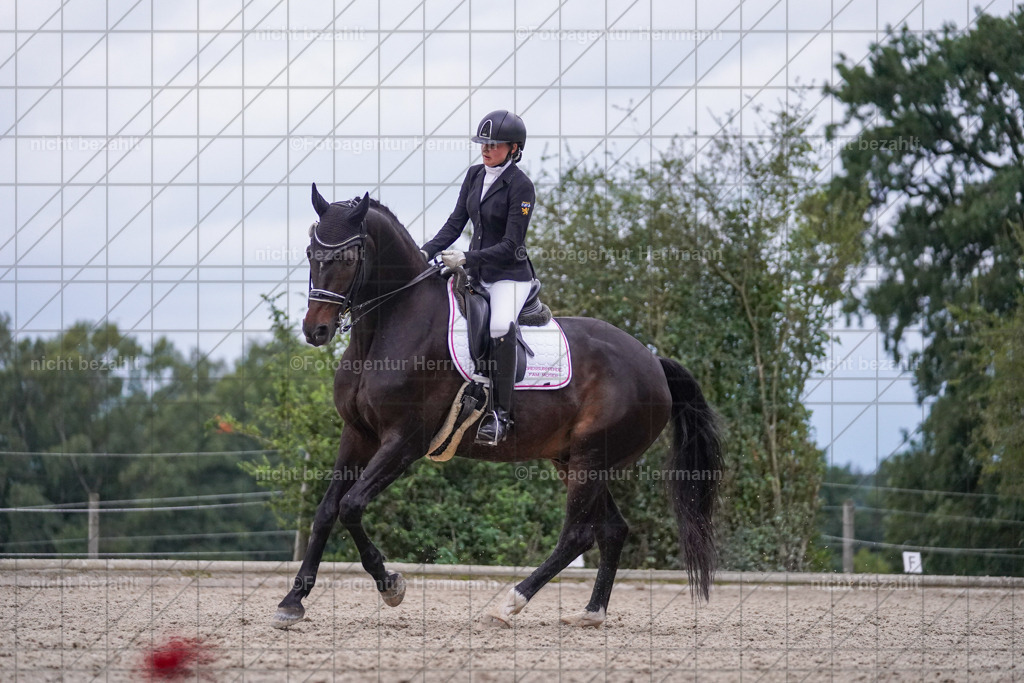 20230826-FAH06327 | Forstinning, 2023, Dressurturnier, Turniersportbilder, Turnierfotografen Bayern, Fotoagentur Herrmann, Reitsportfotografie, Turnierbilder