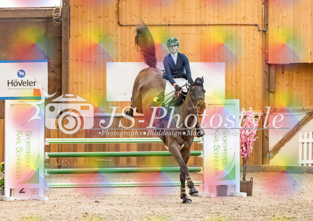 20260221_03_Springpferdeprfg KlL115-77 | JS-Photostyle - Sport-/Portrait- & Eventfotografie