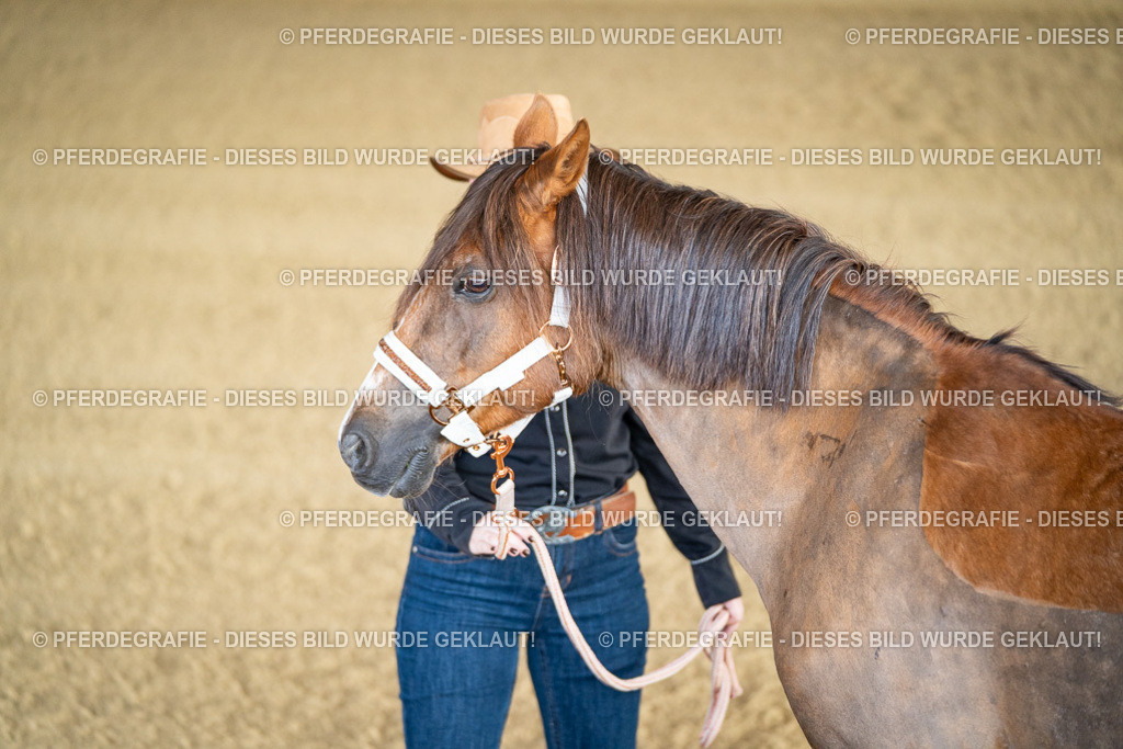 DSC07477 | Pferdegrafie