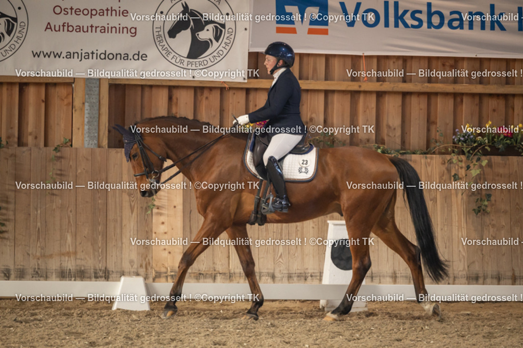 _D5A3232 | Emotionale Pferde- & People-Fotografie rund um Heidelberg, Leimen & Umgebung. Natürliche Fotos von Pferd, Mensch & Familie. Jetzt Termin sichern!