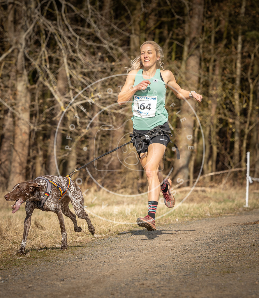 DV3A5602 | Hundefotografie, Tierfotograf, Pfotenfotografie, Fotoshooting Hund, Hunde Portrait, Hundesport, Hundeportraits, Heideshooting, Hunde, Sportfotograf, Hundefotograf, Turnierhundsport, THS,  - Realisiert mit Pictrs.com