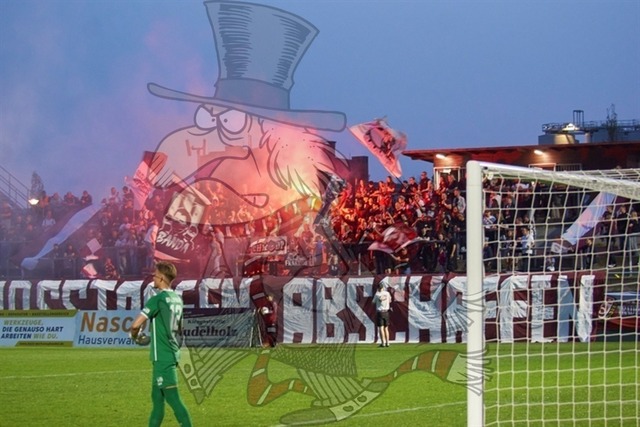 BFC Dynamo vs. FC Eilenburg  054 | mythos-online-redaktion