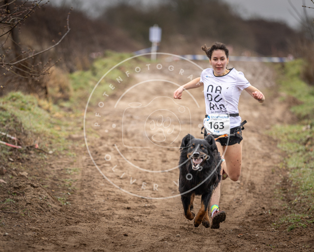 DV3A9612 | Hundefotografie, Tierfotograf, Pfotenfotografie, Fotoshooting Hund, Hunde Portrait, Hundesport, Hundeportraits, Heideshooting, Hunde, Sportfotograf, Hundefotograf, Turnierhundsport, THS,  - Realisiert mit Pictrs.com