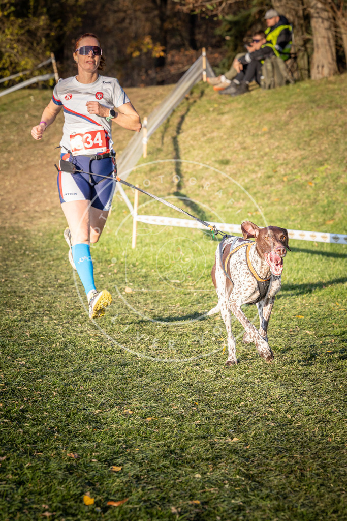 CaniXpix_0L8A0626 | Hundefotografie, Tierfotograf, Pfotenfotografie, Fotoshooting Hund, Hunde Portrait, Hundesport, Hundeportraits, Heideshooting, Hunde, Sportfotograf, Hundefotograf, Turnierhundsport, THS,  - Realisiert mit Pictrs.com