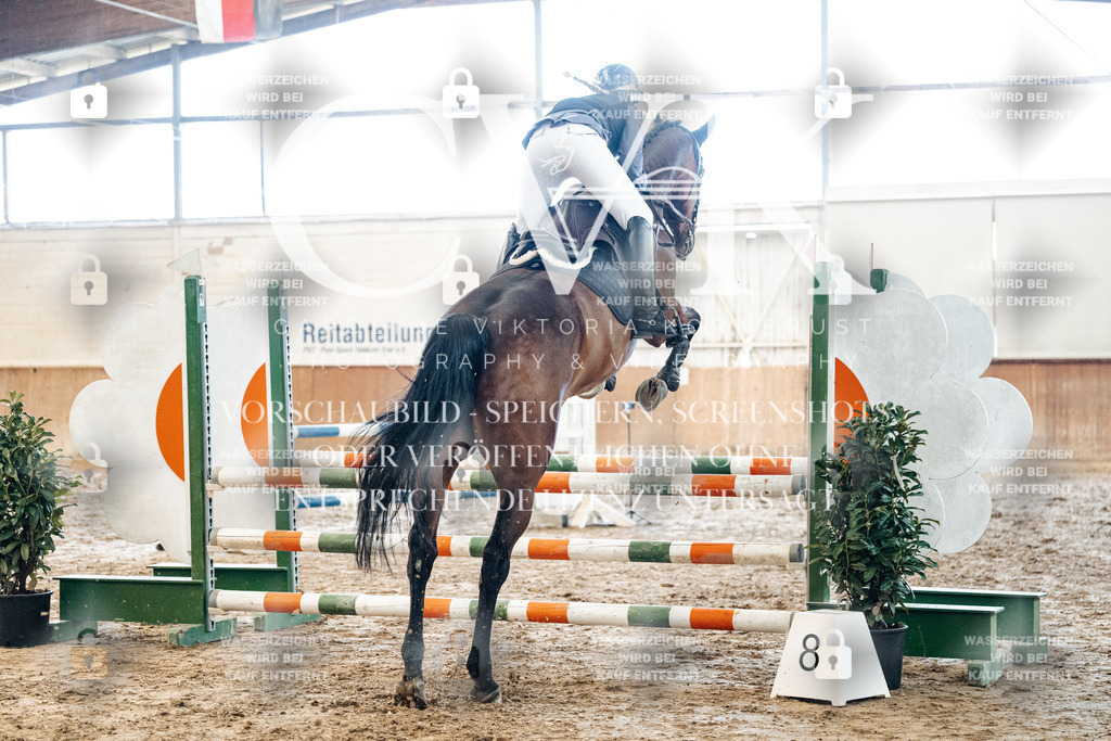 CK904665 | Turnierfotografie Pferdefotografie Trier Rheinland-Pfalz Pferdesport Reitsport Tierfotografie Sportfotografie Pferdevideo Pferdevideografie Equestrianvideography equestrianphotography  - Realisiert mit Pictrs.com
