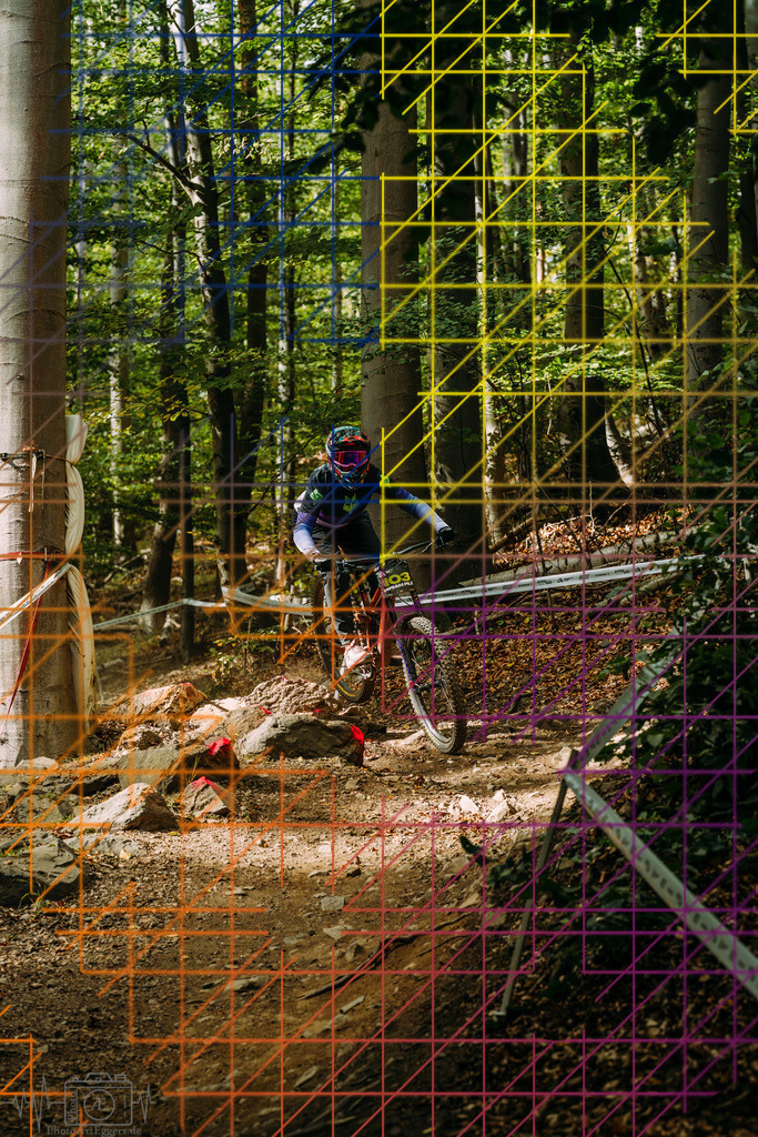 PAE-1794 | Einzigartige Fotokunst für dein Zuhause: Entdecke hochwertige Wandbilder, edle Prints und emotionale Motive von Wildlife, Natur und Landschaften - Realisiert mit Pictrs.com