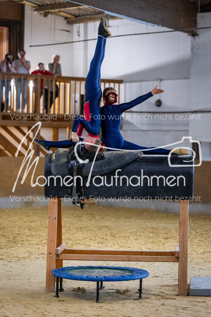 Holzpferd-082 | MomenTaufnahmen Pferdesportfotos