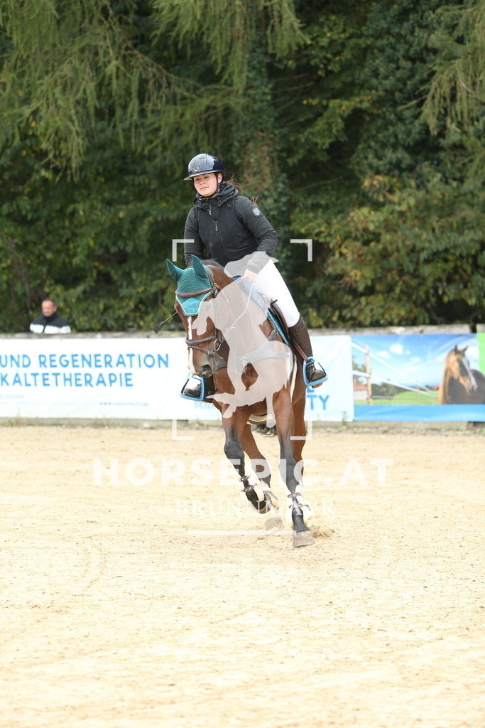 DL2Q6433 | Willkommen bei Brunnmayr - Design & Fotografie – Ihrem Spezialisten für Reitturniere und Pferdeveranstaltungen in Oberösterreich, Salzburg und Bayern! Seit über 17 Jahren sind wir leidenschaftlich dabei.