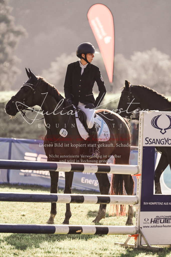 DSC_4595 | Pferde- und Turnierfotografie in Westsachsen. Pferdeportraits, Auftragszeichnungen und intuitive Kunst.