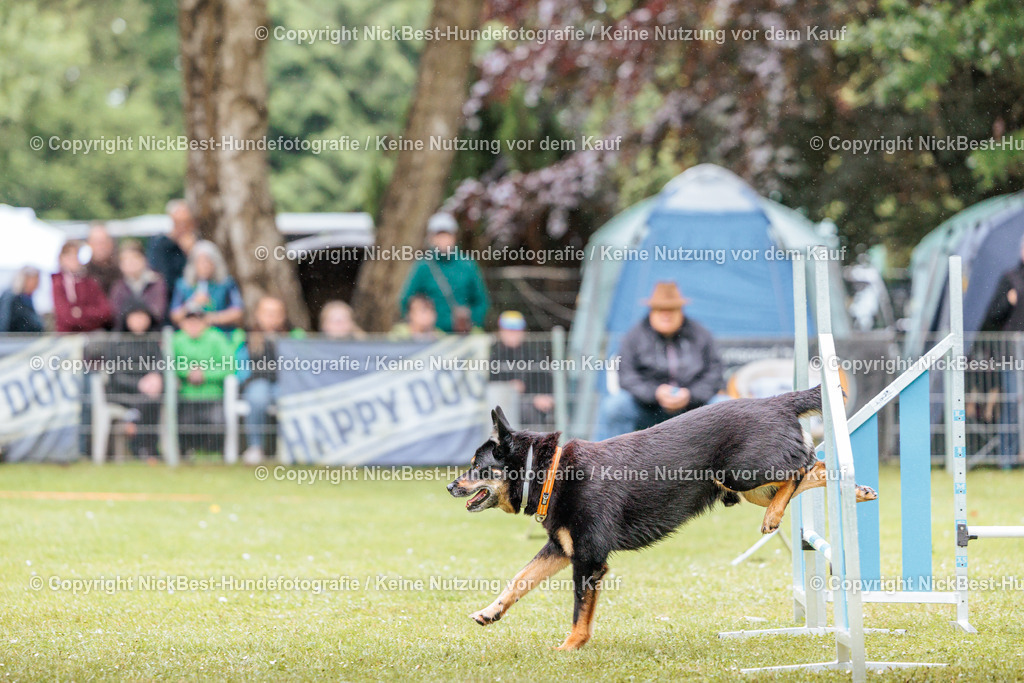 RO-Blumenthal-2026-Nickbest-Hundefotografie-4014 | Dein Hund! Dein Moment! Deine Erinnerungen! Hundefotografie in Bremen Blumenthal. Ich fange die besonderen Momente deines Vierbeiners ein – ob Indoor mit Blitzanlage oder in der freien Natur. Sicher dir dein Moment und dein Termin für eure Erinnerungen.
