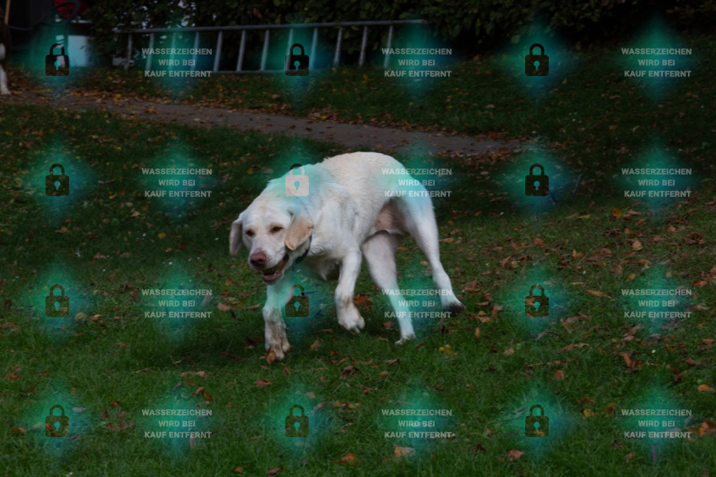 _HP_7487_1000o | HetPix, HetPix Fotodesign, Fotografie, Fotodesign, Webshop, Sportfotografie, Portraitfotografie, Onlineshop, Sportfotografie, Polch, Motorsportfotografie, Eventfotografie