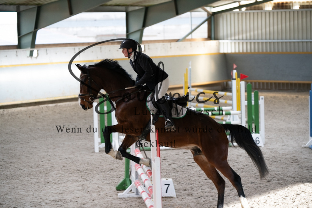 A7V02295 | Pferdefotograf