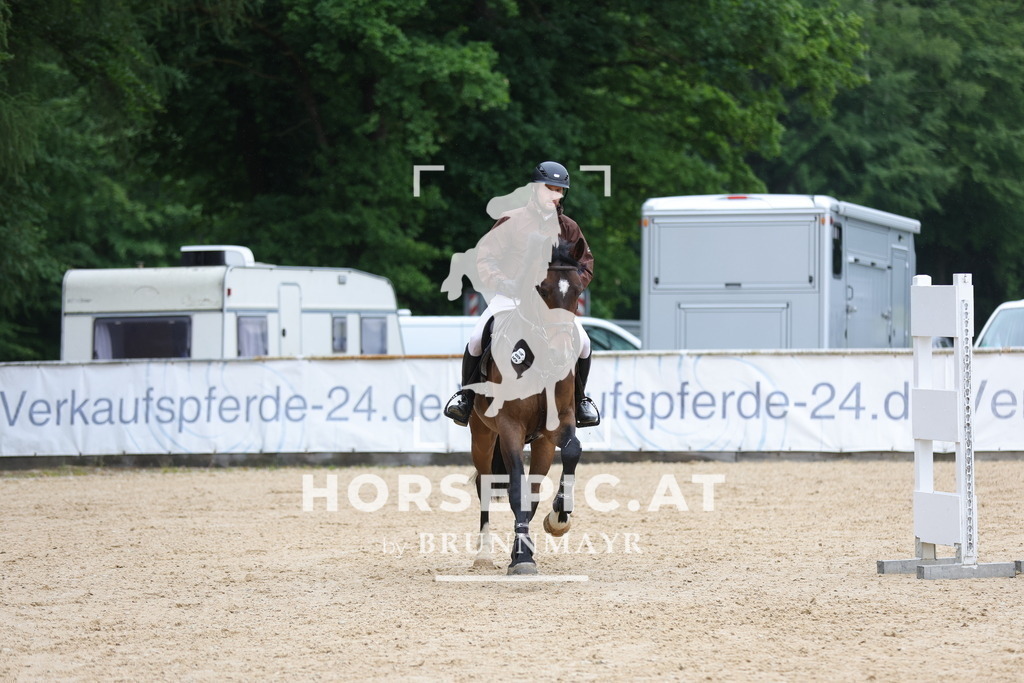0P6A1495 | Willkommen bei Brunnmayr - Design & Fotografie – Ihrem Spezialisten für Reitturniere und Pferdeveranstaltungen in Oberösterreich, Salzburg und Bayern! Seit über 17 Jahren sind wir leidenschaftlich dabei.