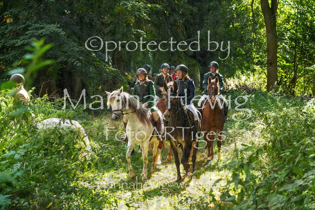 Jagd Perdoel_MarinaHewigMCH05092 | Fotografie, FotoArt, PferdesportArt, Pferdesportfotografie, Landschaftsfotografie, Reisefotografie, Reise, Pferde - Realisiert mit Pictrs.com