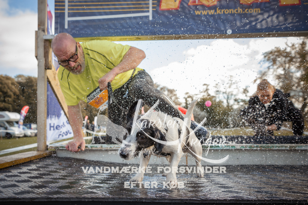 1321_ZZ90289-2 | kk-dogfotos