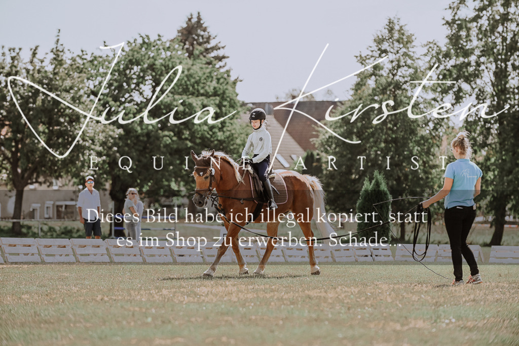 DSC_7561 | Pferde- und Turnierfotografie in Westsachsen. Pferdeportraits, Auftragszeichnungen und intuitive Kunst.
