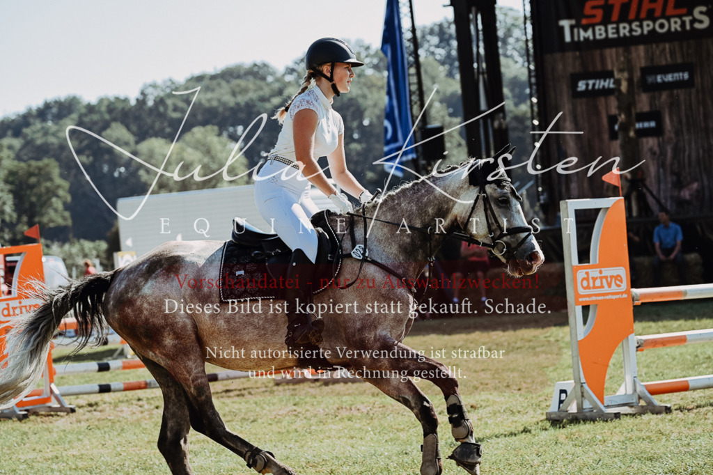 DSC_5507 | Pferde- und Turnierfotografie in Westsachsen. Pferdeportraits, Auftragszeichnungen und intuitive Kunst.