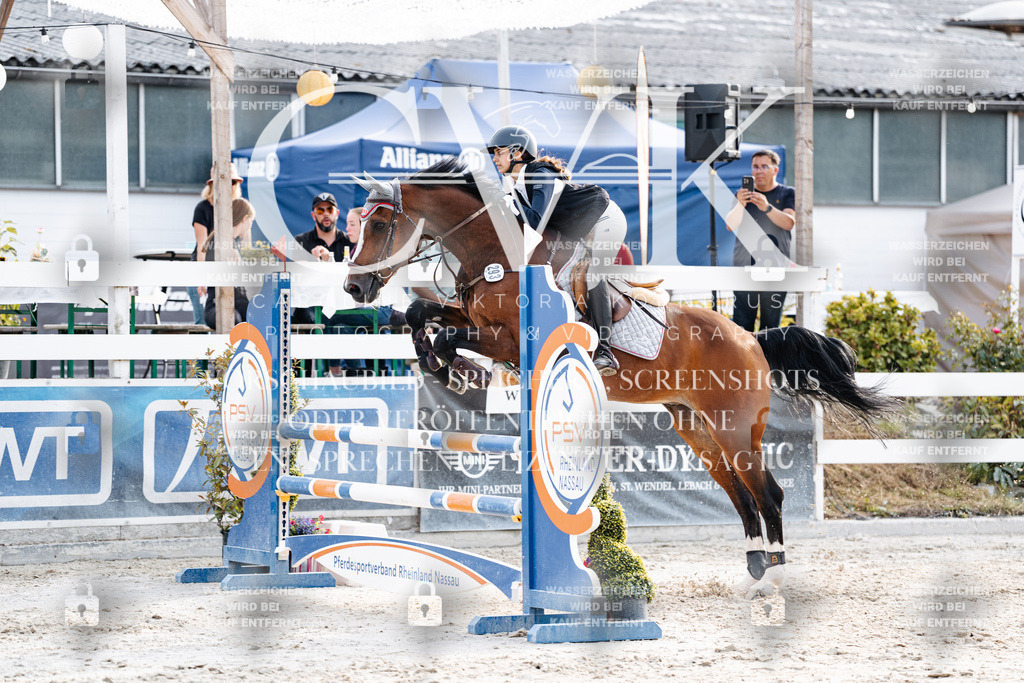 CK906873 | Turnierfotografie Pferdefotografie Trier Rheinland-Pfalz Pferdesport Reitsport Tierfotografie Sportfotografie Pferdevideo Pferdevideografie Equestrianvideography equestrianphotography  - Realisiert mit Pictrs.com