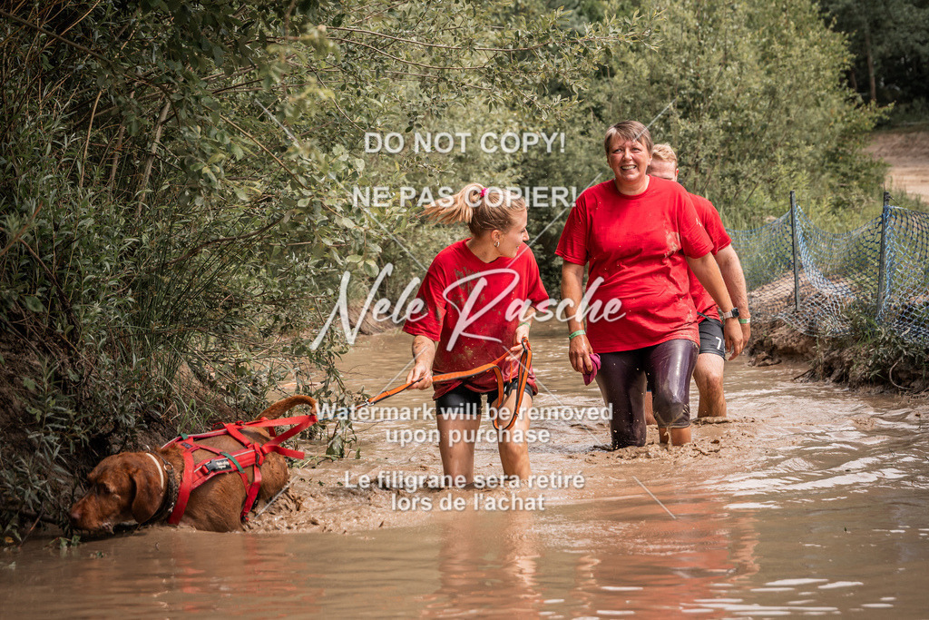 nelerasche_Hoope2026_So1400-1430_93 | nelerasche