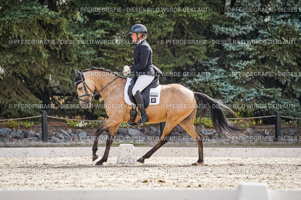 DSC06790 | Pferdegrafie