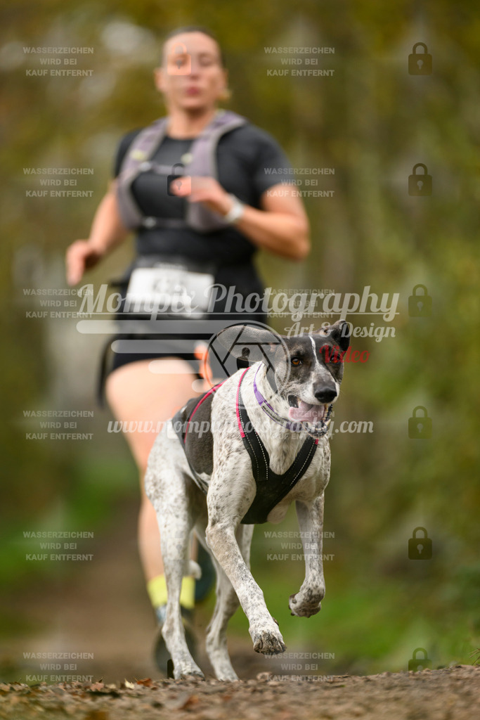 MompixPhotography_20TSB_E6_Run-158 | PayLife