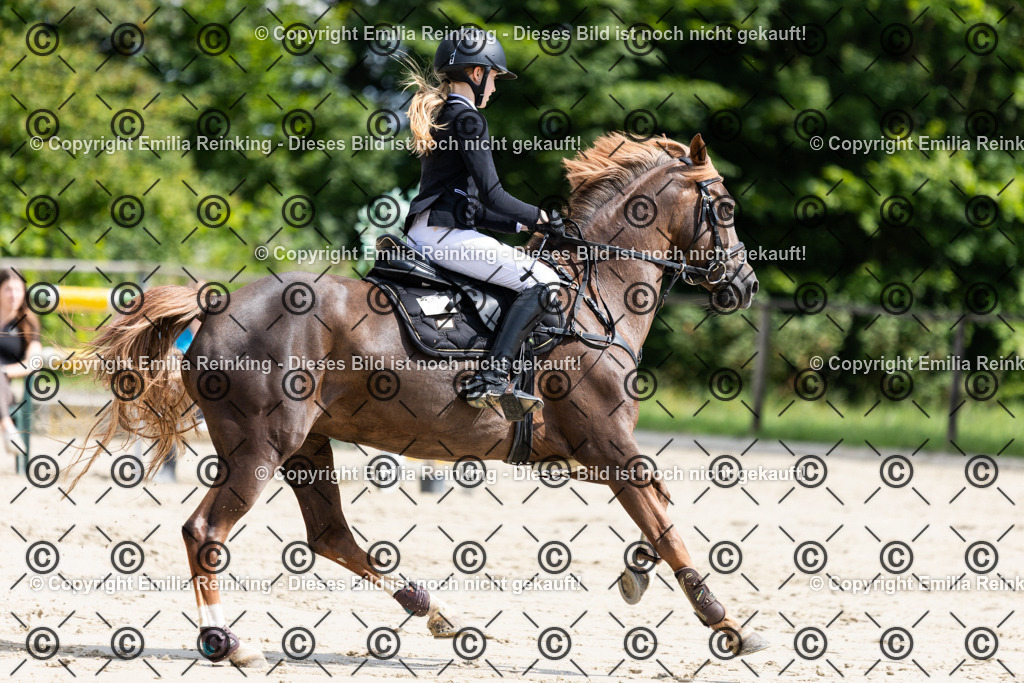 CL5A0994 | Emilia Reinking Fotografie - Realisiert mit Pictrs.com