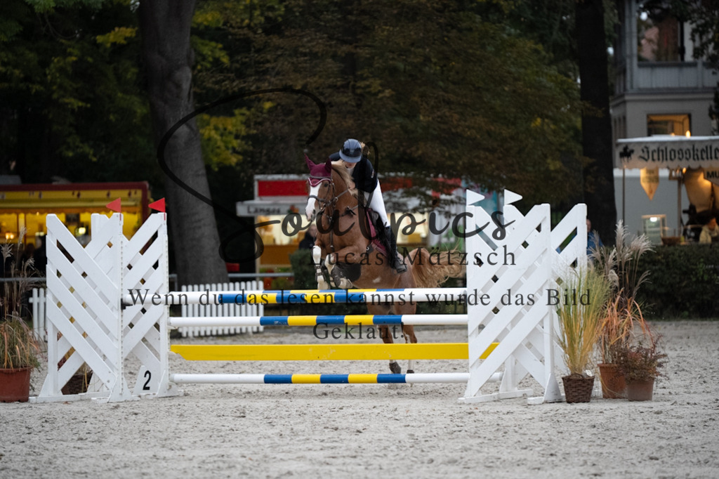 A7V08886 | Pferdefotograf