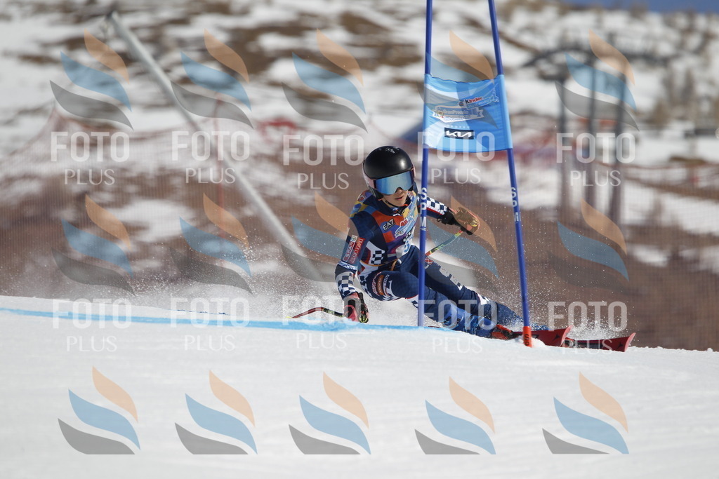 _U3G9046 | holidayphoto