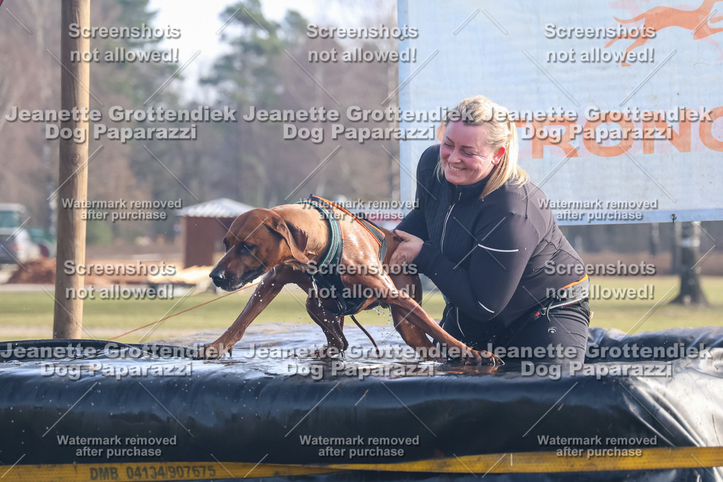 Dog Paparazzi - Strongdog North Mrz26-499 | Dog Paparazzi Jeanette Grottendiek Fotografie & Videografie - Realisiert mit Pictrs.com