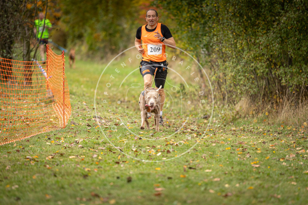 Pfotenfotografie_DV3A3981 | Hundefotografie, Tierfotograf, Pfotenfotografie, Fotoshooting Hund, Hunde Portrait, Hundesport, Hundeportraits, Heideshooting, Hunde, Sportfotograf, Hundefotograf, Turnierhundsport, THS,  - Realisiert mit Pictrs.com