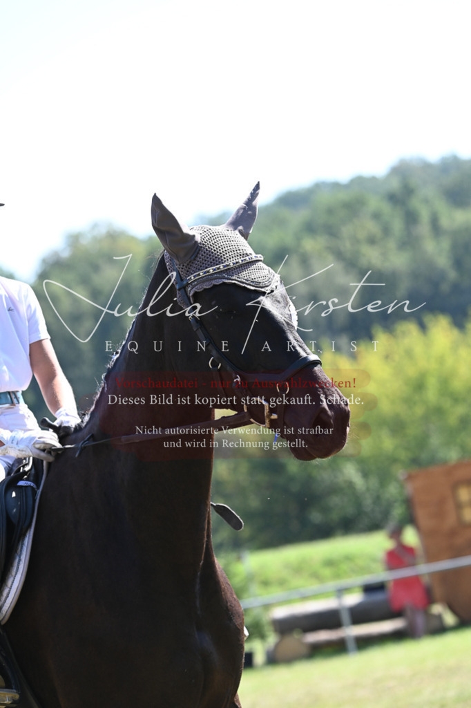 DSC_6493 | Pferde- und Turnierfotografie in Westsachsen. Pferdeportraits, Auftragszeichnungen und intuitive Kunst.