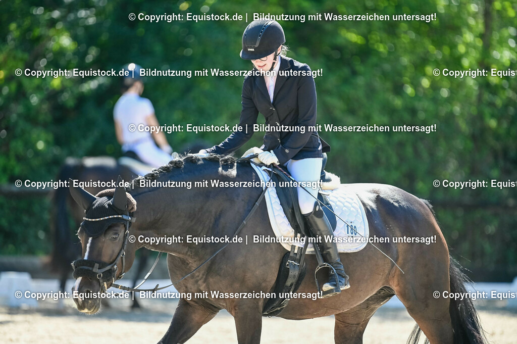 20230908_06_Dressur-L-Trense_0596 | equistock