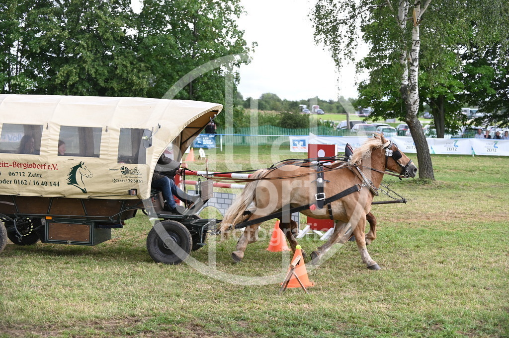 DSC_8726 | sattelsport - Realisiert mit Pictrs.com