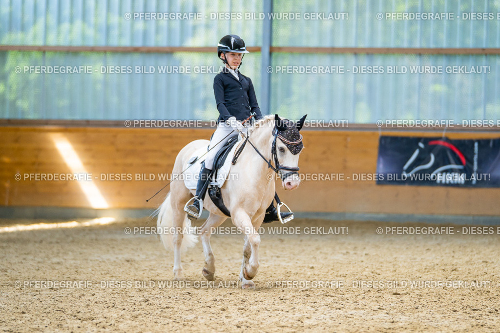 DSC09051 | Pferdegrafie