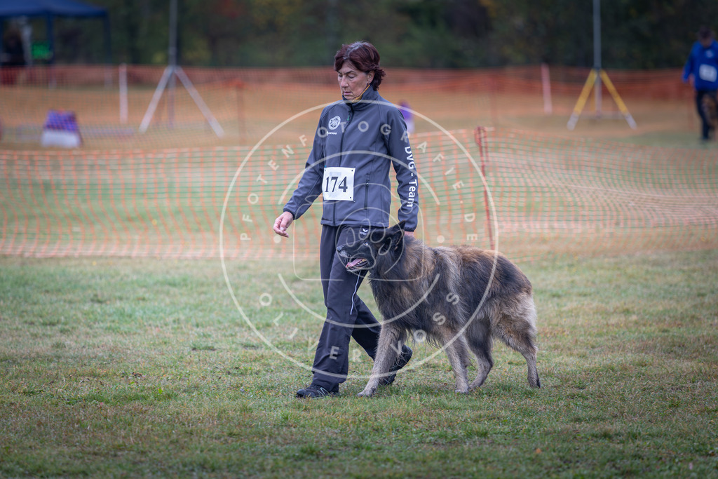 Pfotenfotografie_DV3A9251 | Hundefotografie, Tierfotograf, Pfotenfotografie, Fotoshooting Hund, Hunde Portrait, Hundesport, Hundeportraits, Heideshooting, Hunde, Sportfotograf, Hundefotograf, Turnierhundsport, THS,  - Realisiert mit Pictrs.com