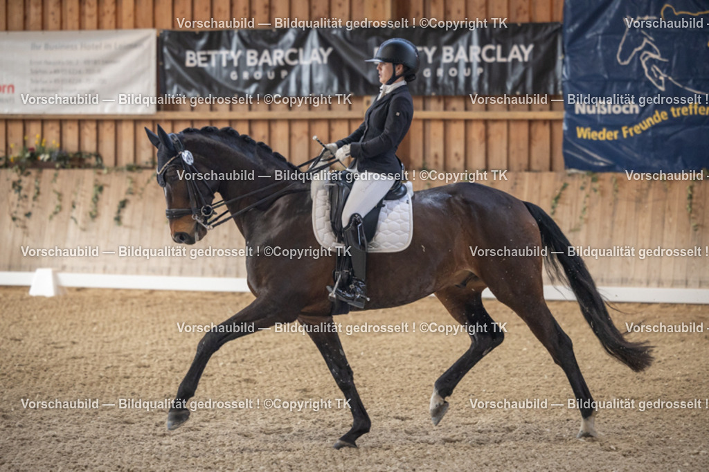 _D5A5855 | Emotionale Pferde- & People-Fotografie rund um Heidelberg, Leimen & Umgebung. Natürliche Fotos von Pferd, Mensch & Familie. Jetzt Termin sichern!