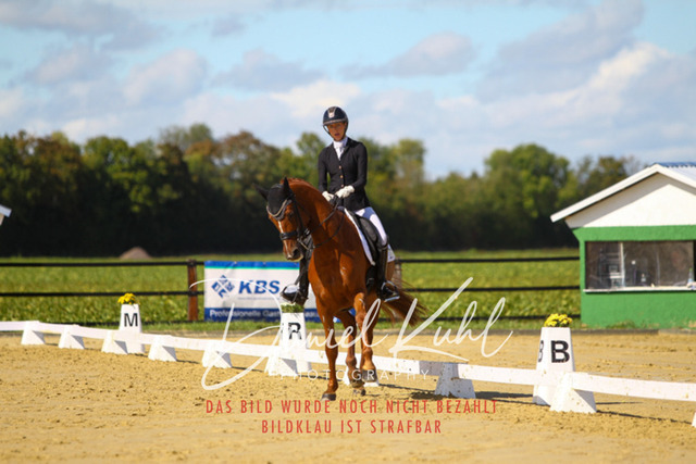 DKP44174 | Turniersportfotografie; Pferdefotografie; Dressurfotografie