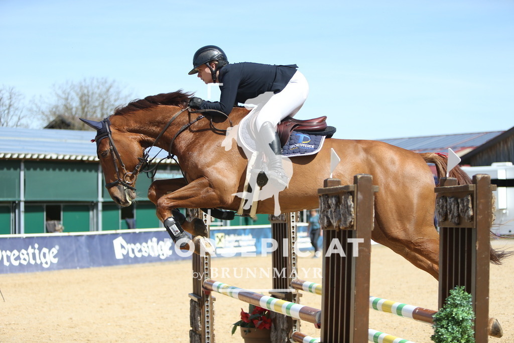 DL2Q1938 | Willkommen bei Brunnmayr - Design & Fotografie – Ihrem Spezialisten für Reitturniere und Pferdeveranstaltungen in Oberösterreich, Salzburg und Bayern! Seit über 17 Jahren sind wir leidenschaftlich dabei.