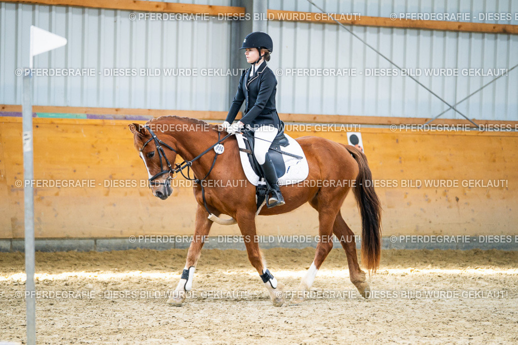 DSC02167 | Pferdegrafie