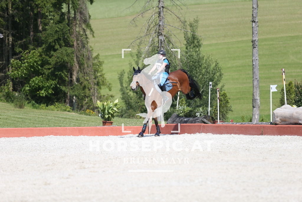 DL2Q2811 | Willkommen bei Brunnmayr - Design & Fotografie – Ihrem Spezialisten für Reitturniere und Pferdeveranstaltungen in Oberösterreich, Salzburg und Bayern! Seit über 17 Jahren sind wir leidenschaftlich dabei.