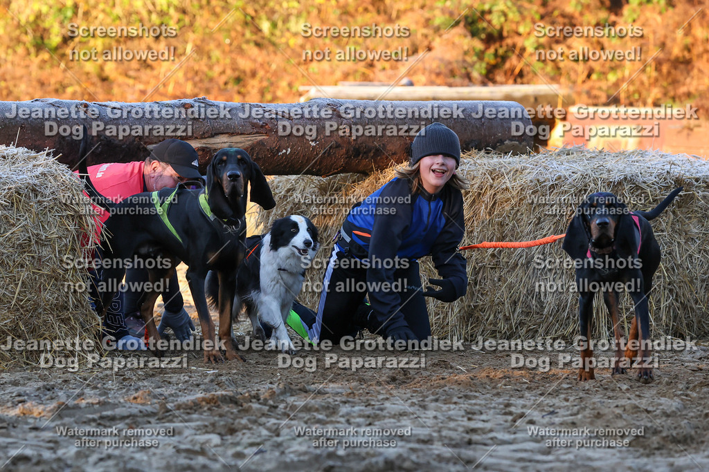 Dog Paparazzi - Strongdog 10-25-508 | Dog Paparazzi Jeanette Grottendiek Fotografie & Videografie - Realisiert mit Pictrs.com