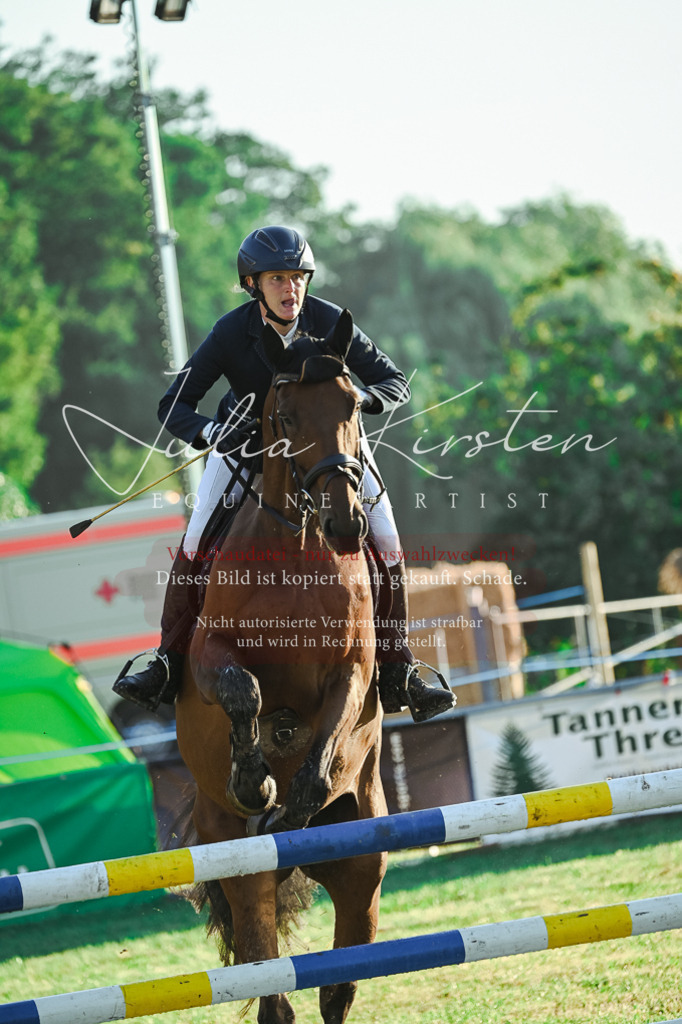 DSC_3830 | Pferde- und Turnierfotografie in Westsachsen. Pferdeportraits, Auftragszeichnungen und intuitive Kunst.