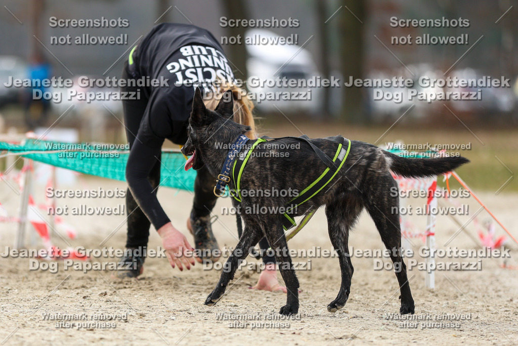 Dog Paparazzi - Strongdog North Mrz26-5656 | Dog Paparazzi Jeanette Grottendiek Fotografie & Videografie - Realisiert mit Pictrs.com