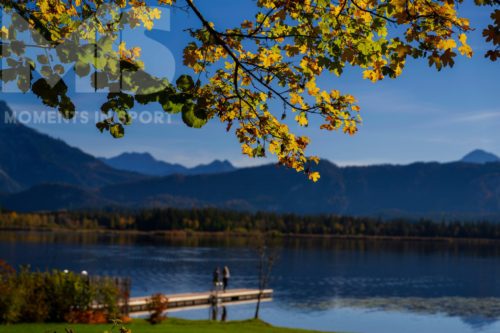2.Liga-1860-HEIM.jpg | 17.10.2022, Herbst am Hopfensee im Allgäu (Bayern) bei Füssen. - Realisiert mit Pictrs.com