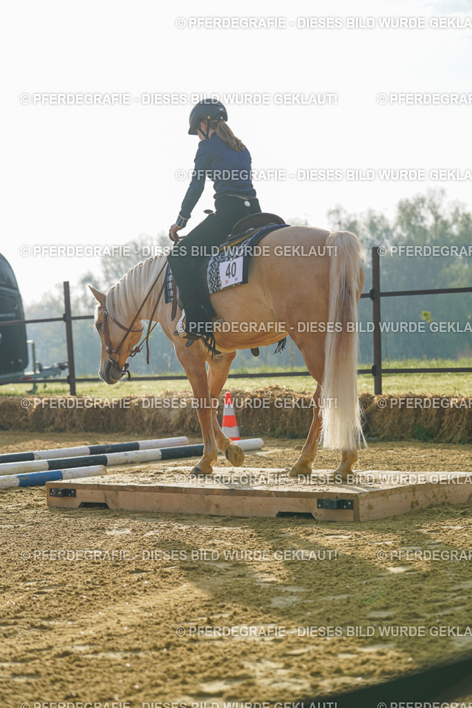 DSC09945 | Pferdegrafie